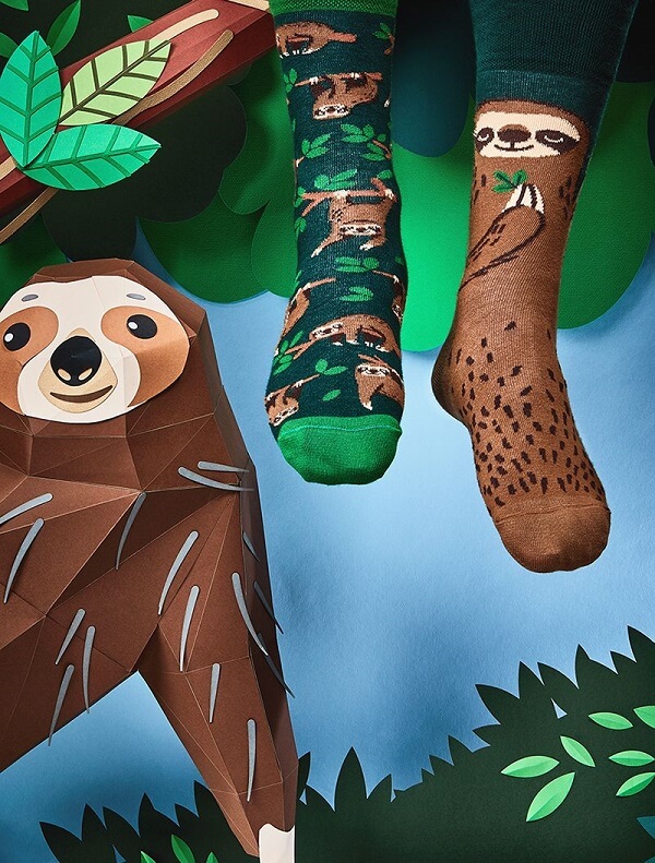  Many Mornings Sloth Life - 2