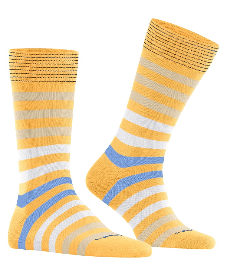 Burlington Blackpool