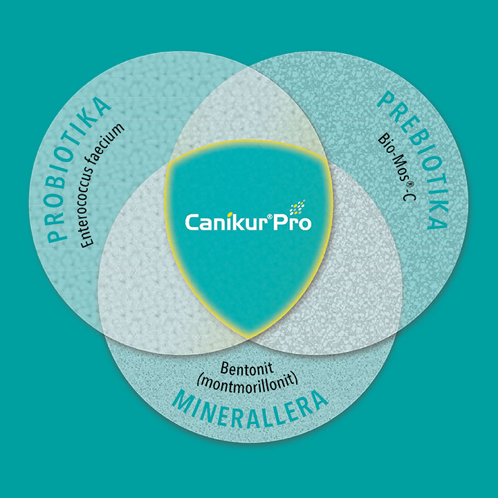 Canikur Pro Pasta, från: - 4
