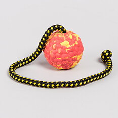 Mjuk boll med rep 'Raddog' 
