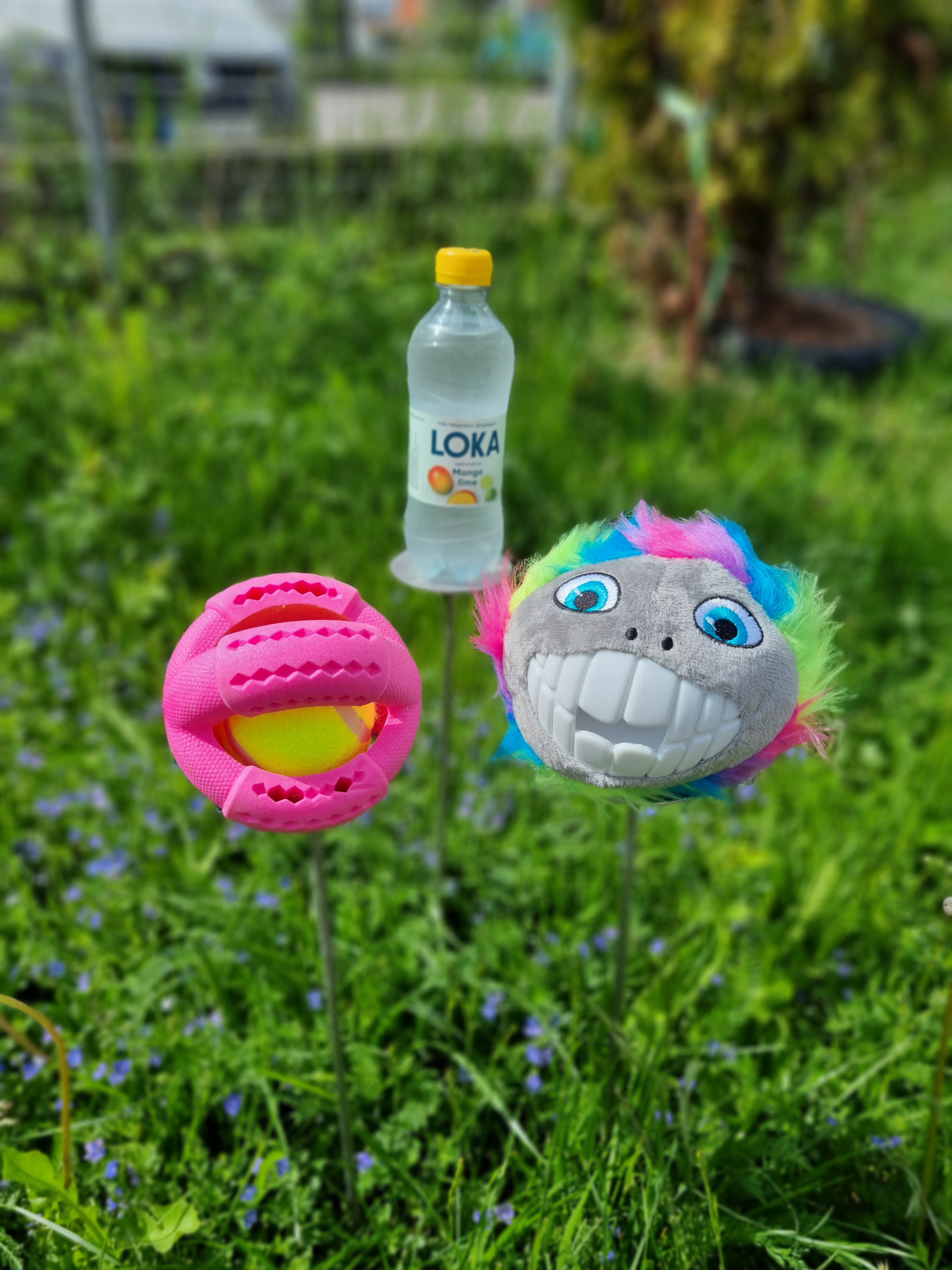Riktningspinne/Target Med Skål