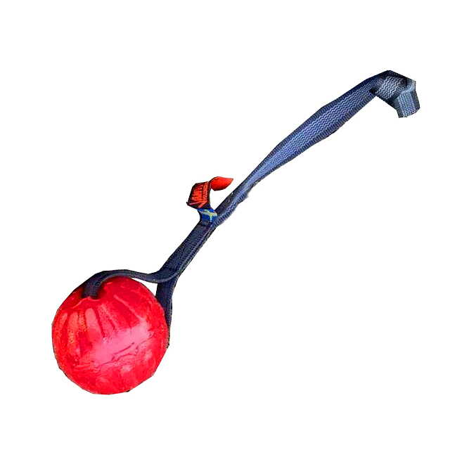Starmark Bacon ball - med supergrip