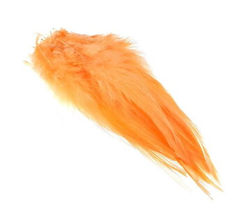 Schlappen Salmon