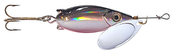 Bingon Svart/Silver/Röd