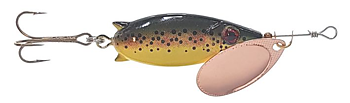 Bingon  Öring