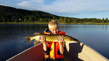 79cm Elias Grensell