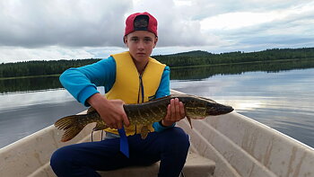 72cm Ludvig Grensell