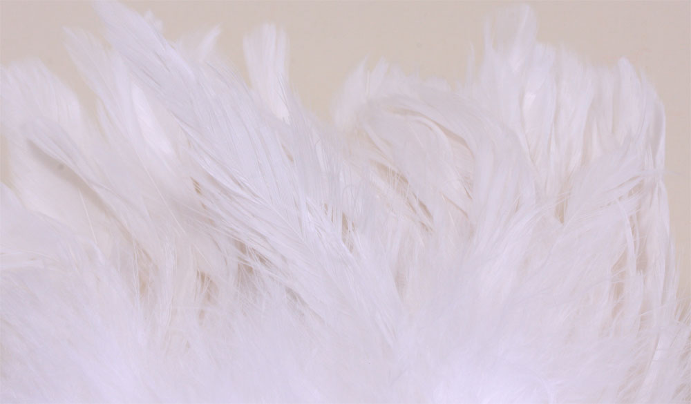 Schlappen Short White