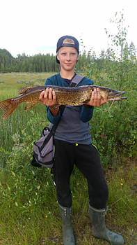 72cm Leo Bjur