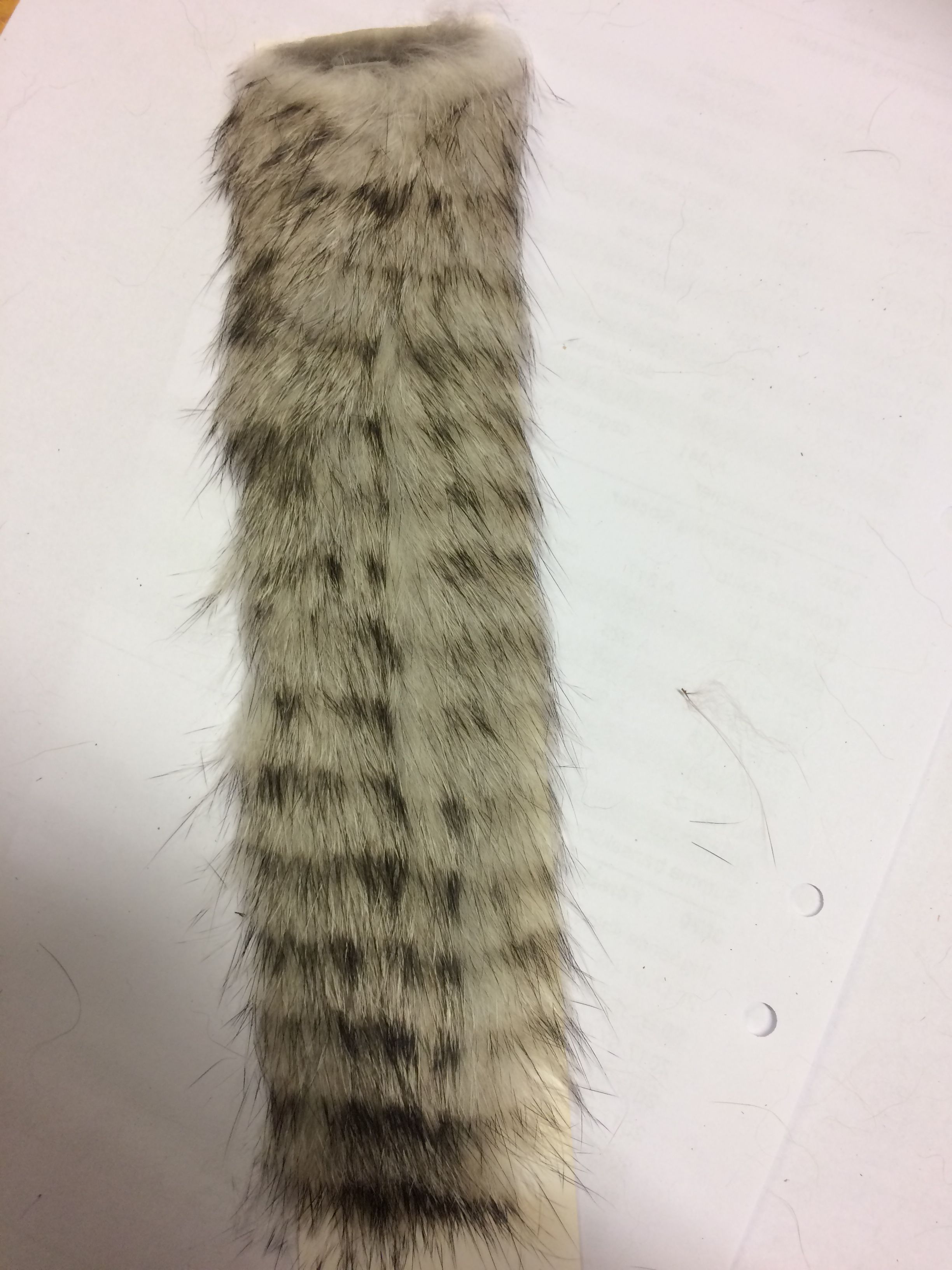 Rabbit Zonkers Tiger
