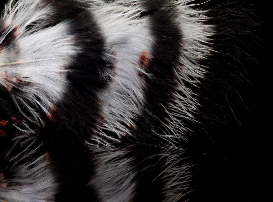 Jail House Marabou Black/white