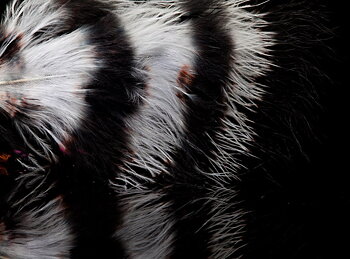 Jail House Marabou Black/white