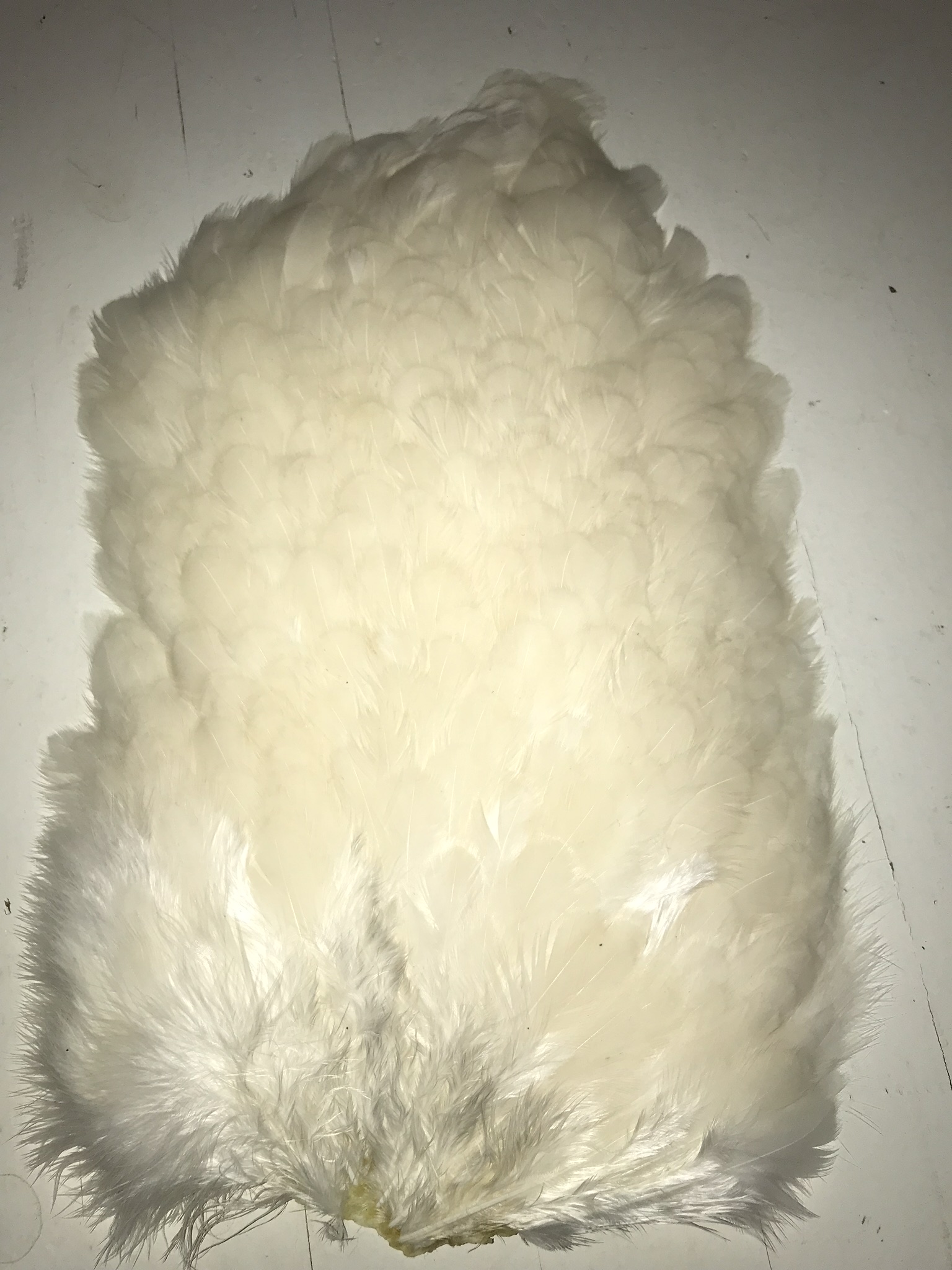 Whiting 4B Hen Saddle White