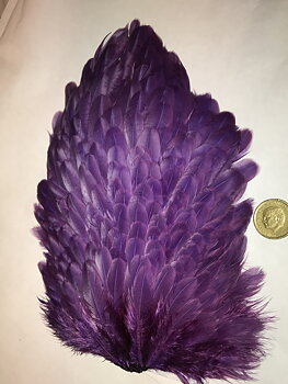 Whiting 4B Hen Saddle Purple