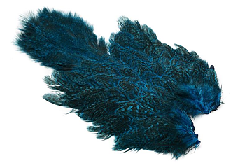 Coq De Leon Hen SH/C Speckled dyed K/F Blue