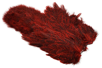 Coq De Leon Hen SH/C Speckled dyed Red