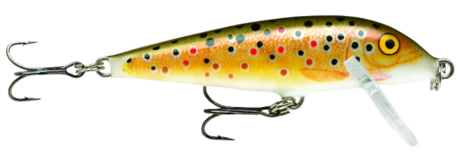 Rapala Countdown Sinking TR