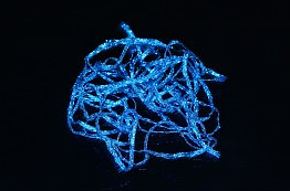 Metallic Flat Braid steelblue