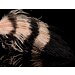Jail House Marabou Black/Tan
