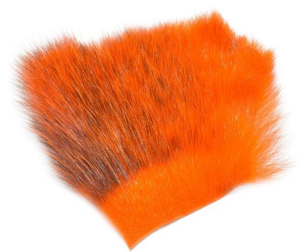 Amercan Opossum Orange