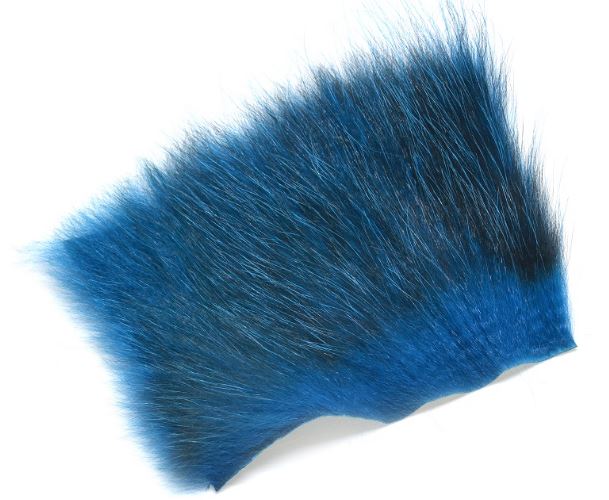 Amercan Opossum King Fisher Blue