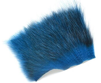 Amercan Opossum King Fisher Blue