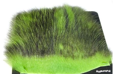 Amercan Opossum Chartreuse
