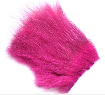 Amercan Opossum Purple