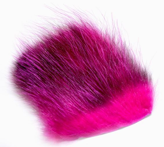 Amercan Opossum Magenta