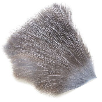 Amercan Opossum Grey