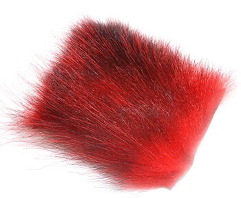 Amercan Opossum Red