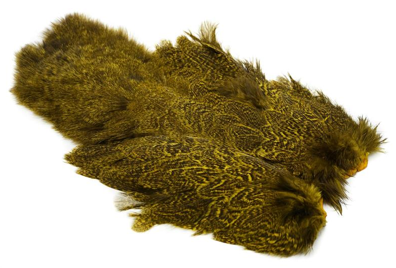 Coq De Leon Hen SH/C Speckled dyed Yellow