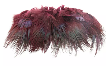 Ringneck Rump Hackle Wine