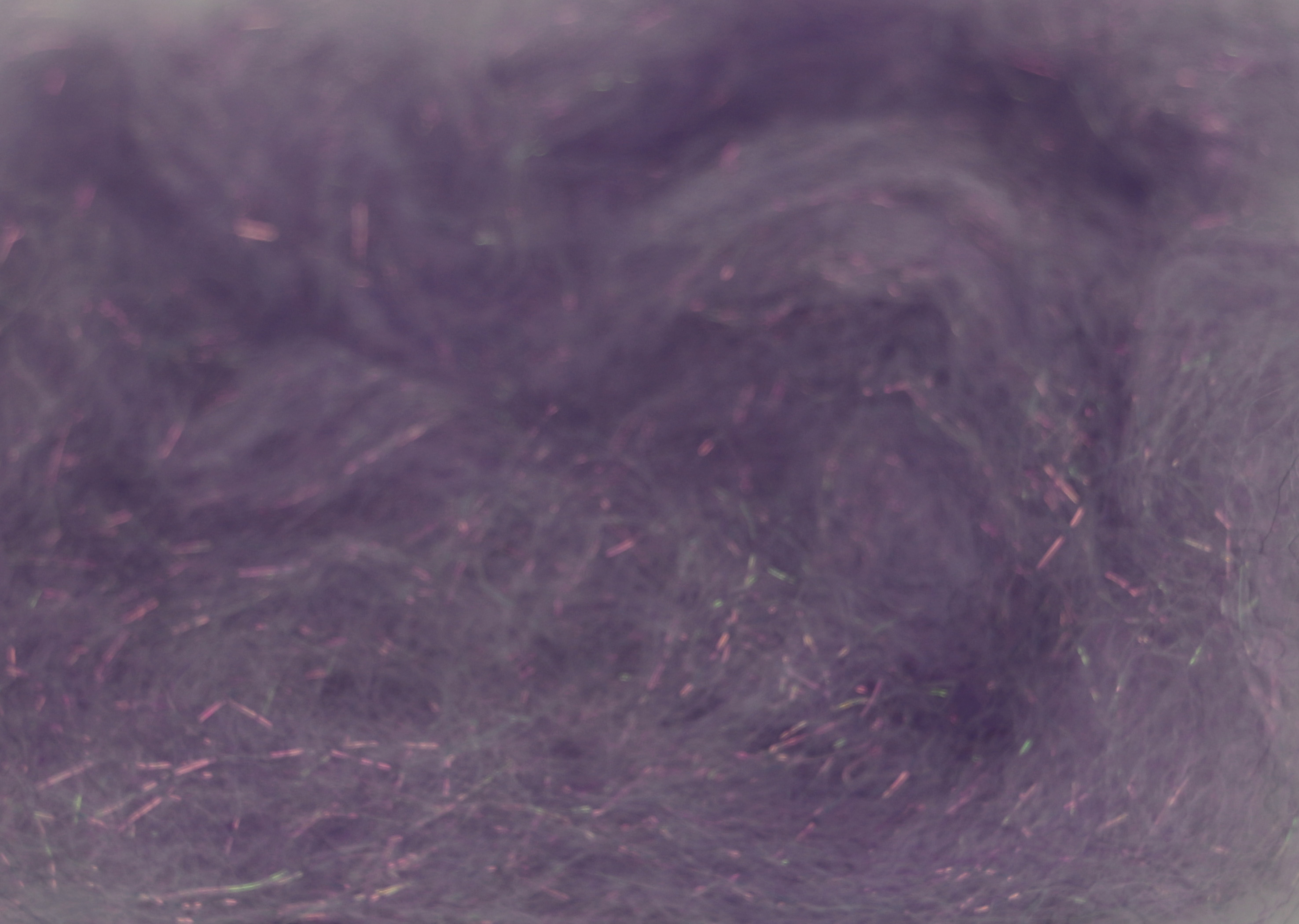 Senyo Laser Dubbing Lavender