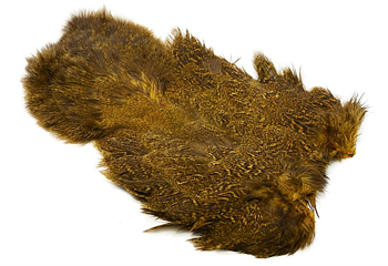 Coq De Leon Hen SH/C Speckled dyed Copper Olive