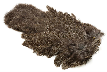Coq De Leon Hen SH/C Speckled Brown Speckled (Natural)