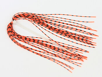 Barred Rubberleg Orange