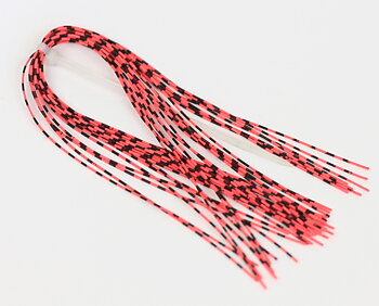 Barred Rubberleg Red