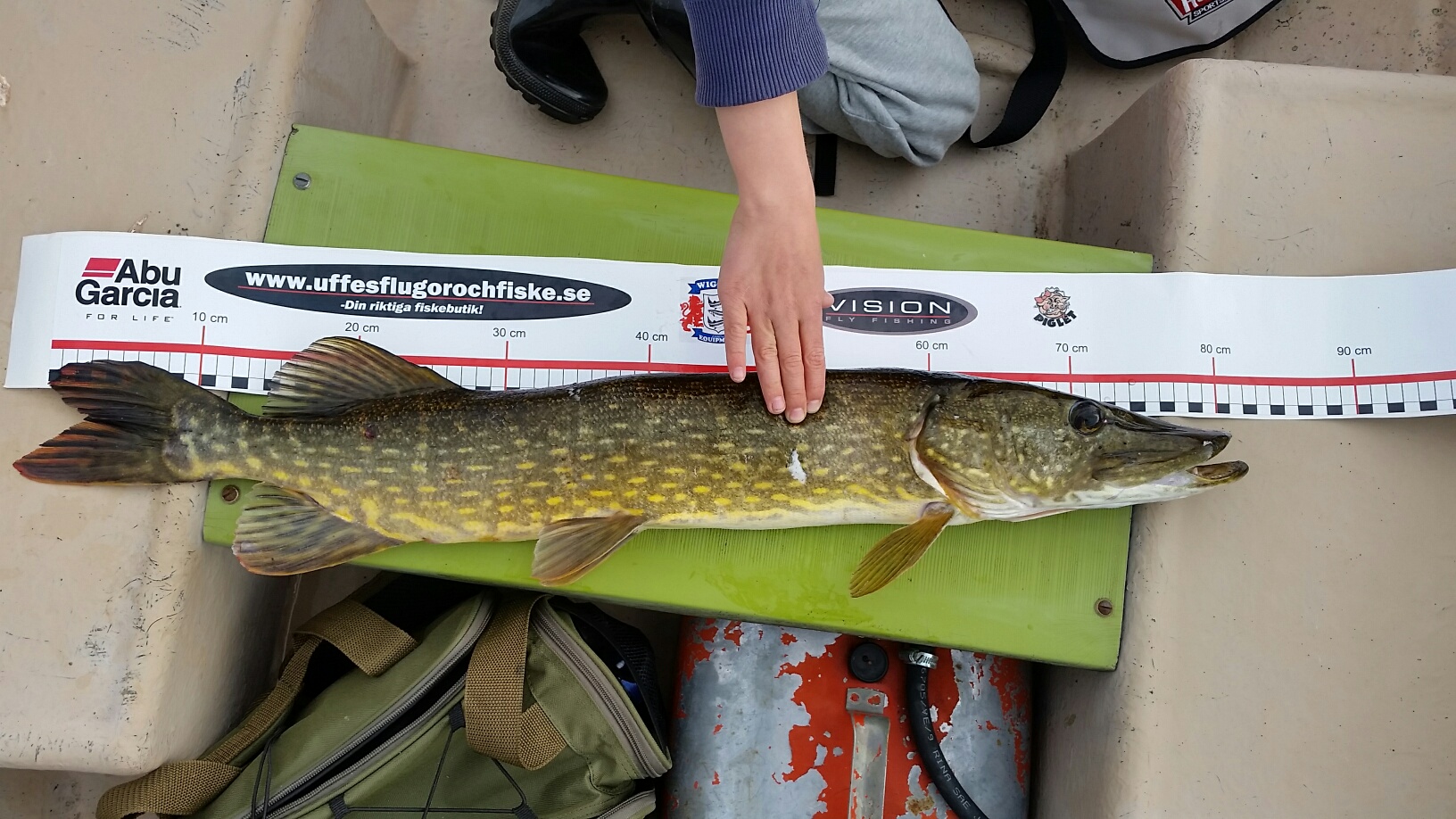 82cm Staffan Grensell