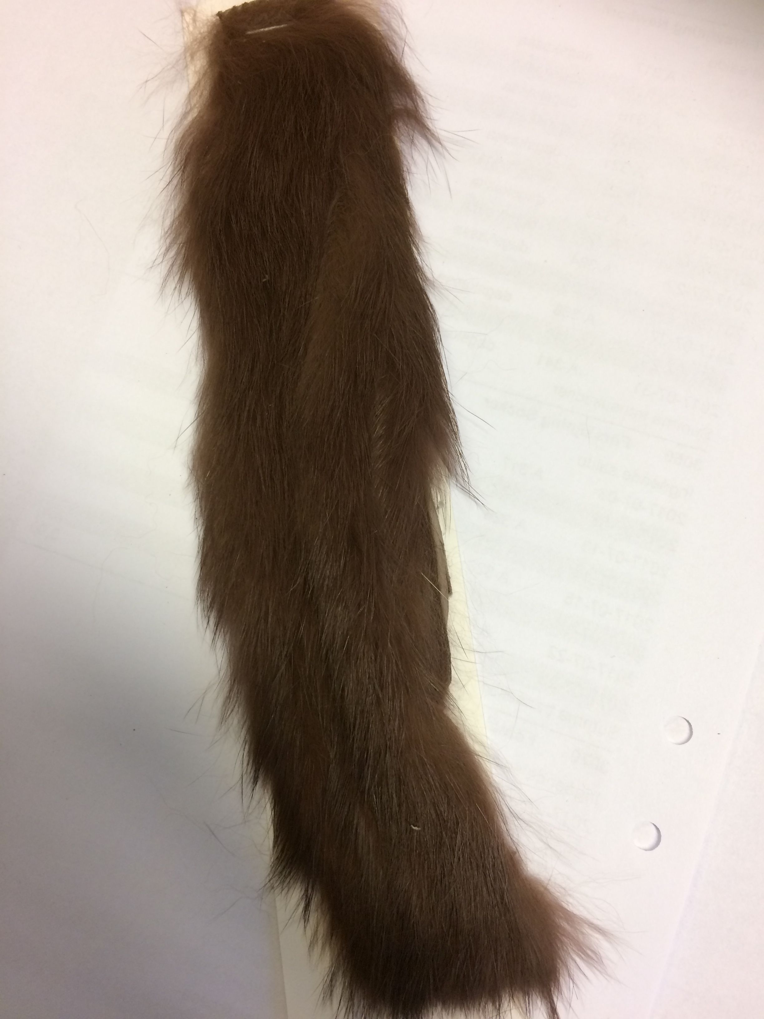 Rabbit Zonkers Brown