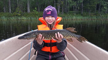 65cm Viola Bergström