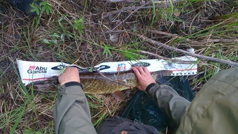 75cm Fredrik Perdal