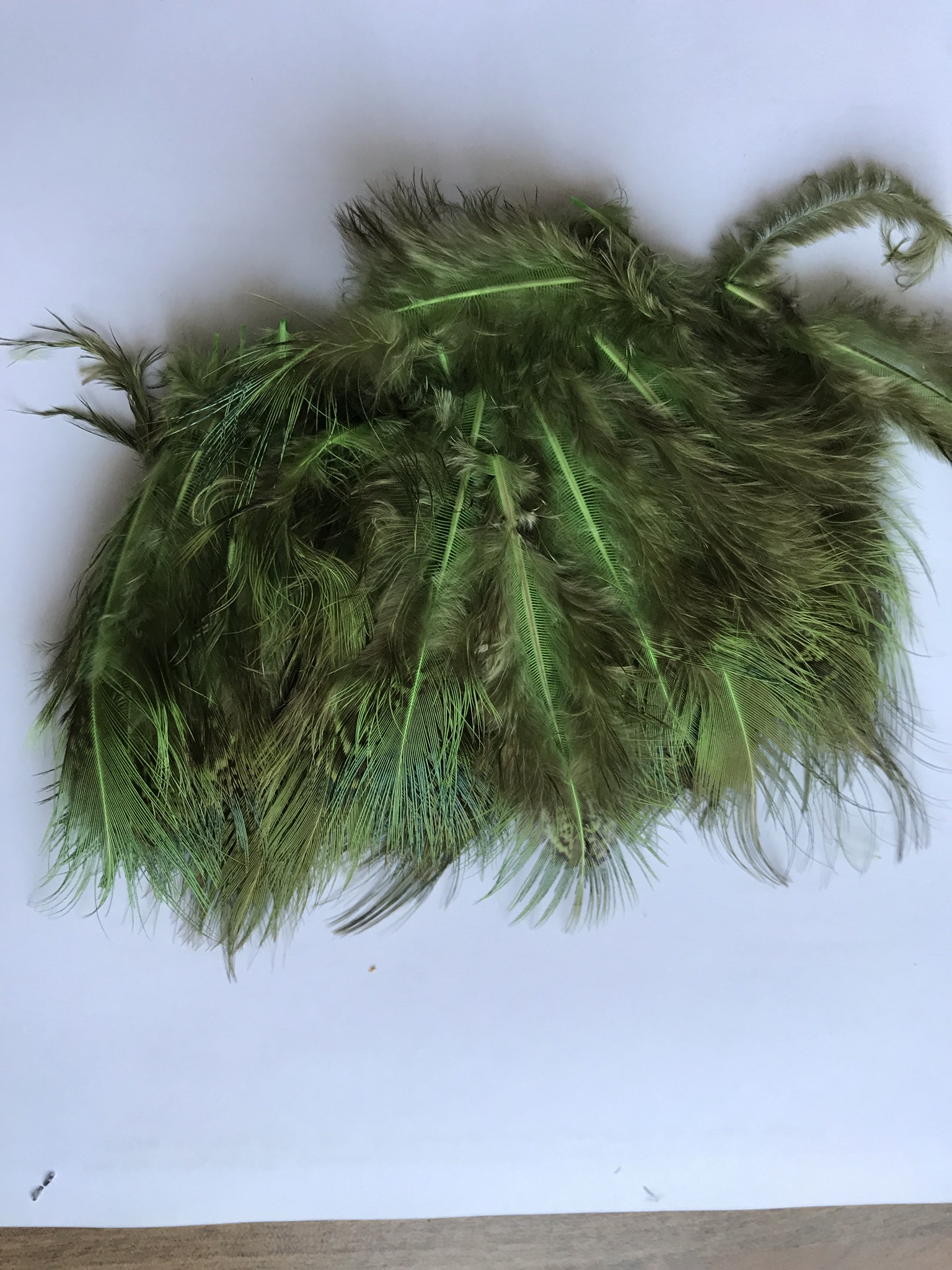 Ringneck Rump Hackle Fl. Chartreuse