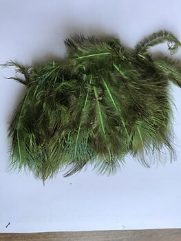 Ringneck Rump Hackle Fl. Chartreuse