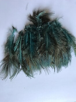 Ringneck Rump Hackle K/F Blue