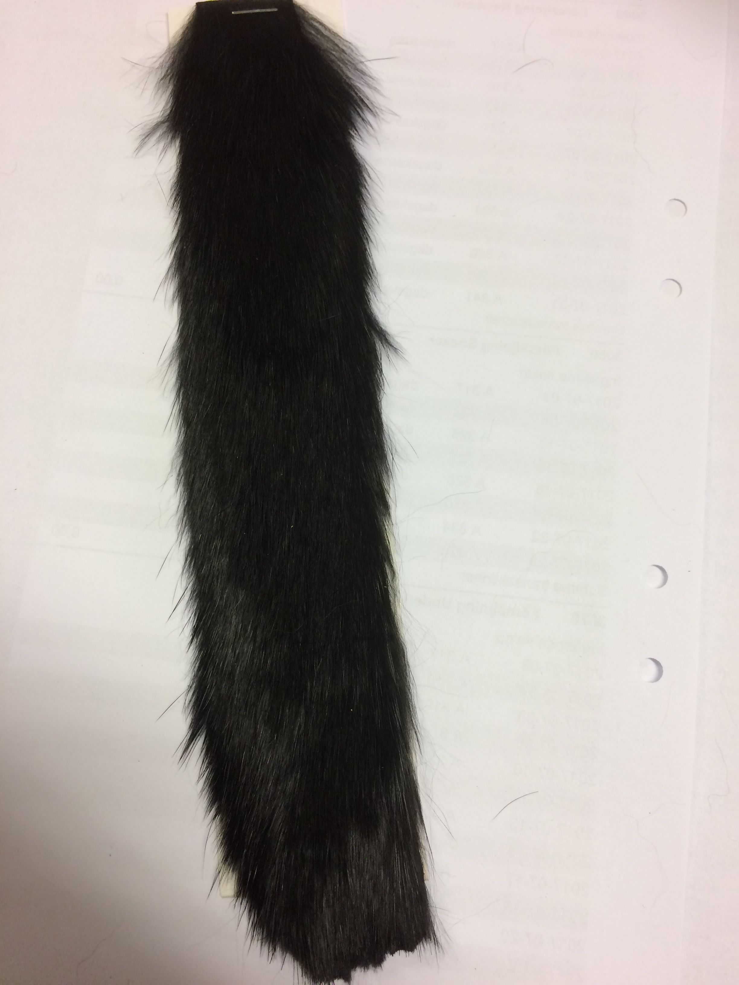 Rabbit Zonkers Black