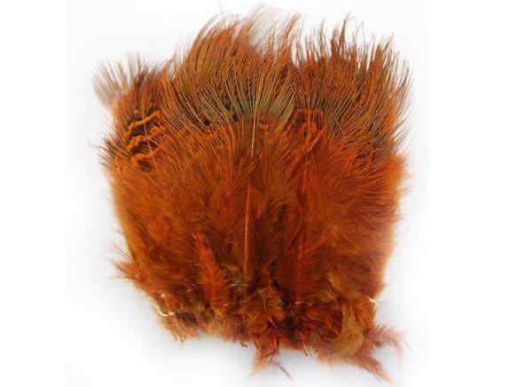 Ringneck Rump Hackle Orange