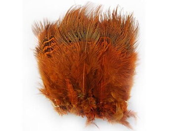 Ringneck Rump Hackle Orange