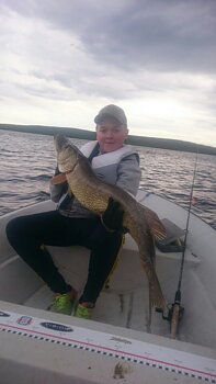 116cm Josef Edlund