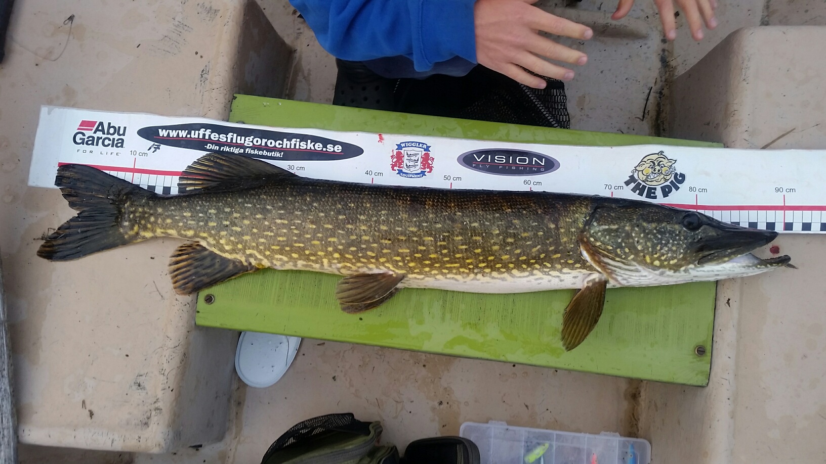 90cm Staffan Grensell